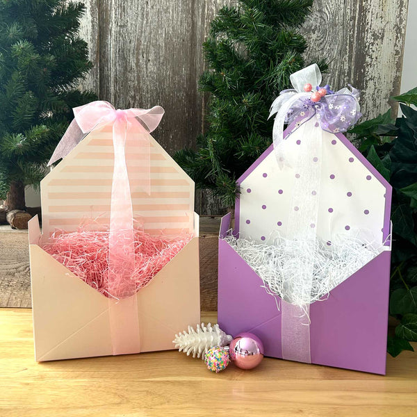 ALL NEW Basket Envelope Box - 2-pack